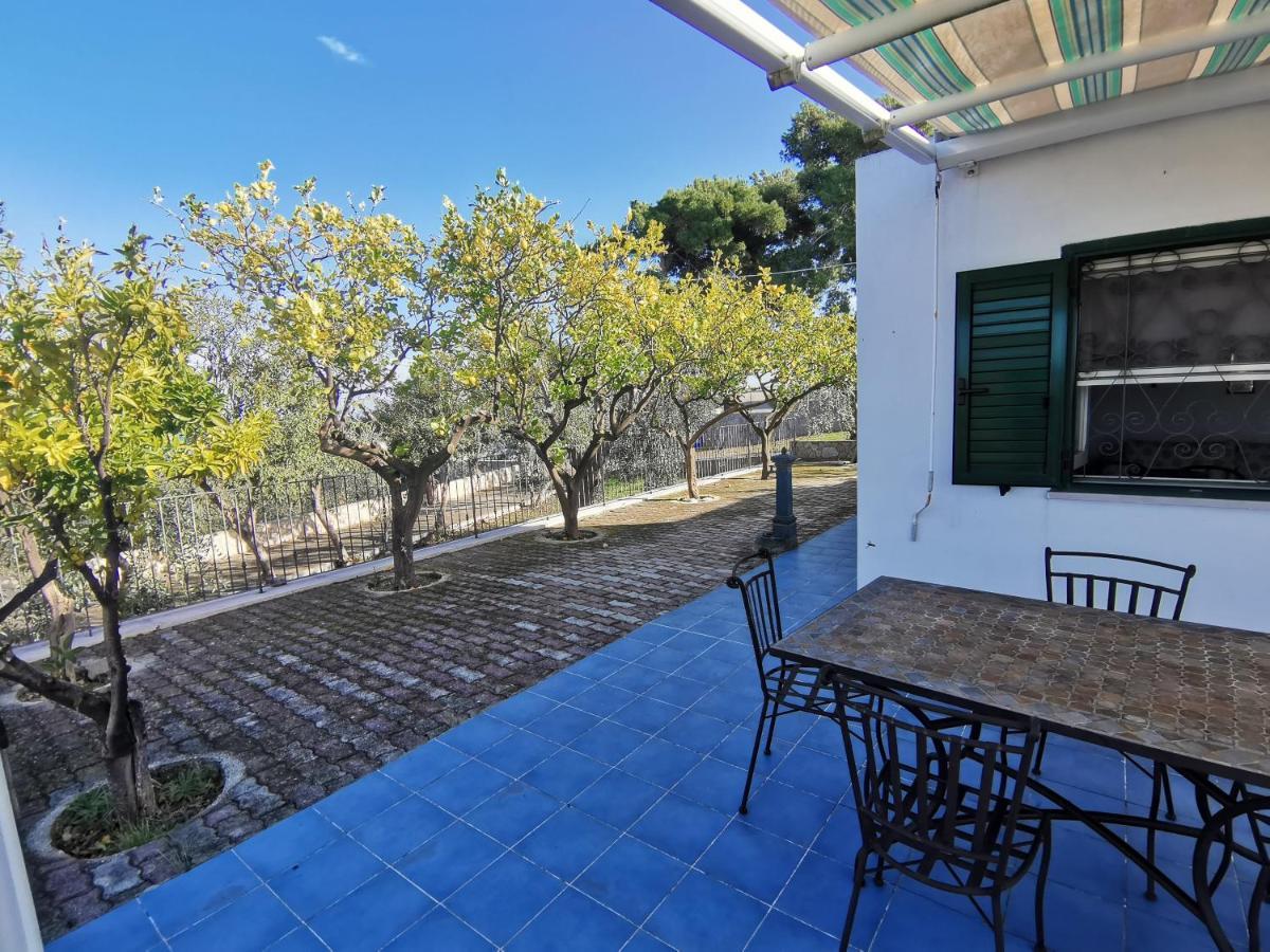 Tenuta Solleone Peschici Esterno foto