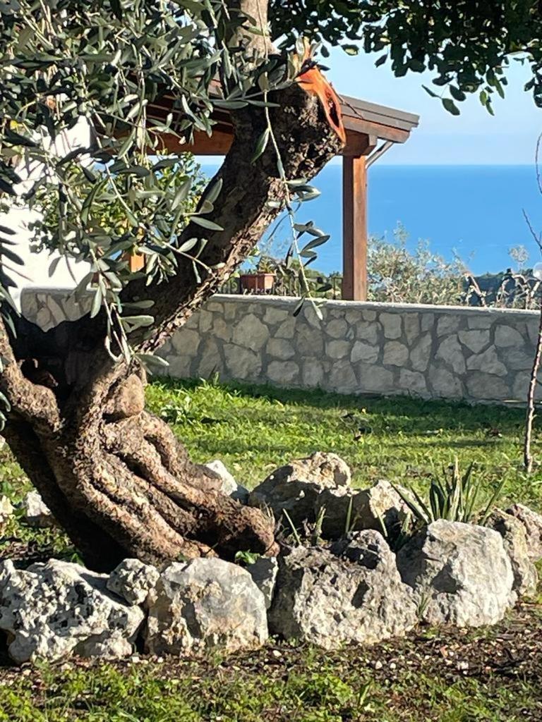 Tenuta Solleone Peschici Esterno foto
